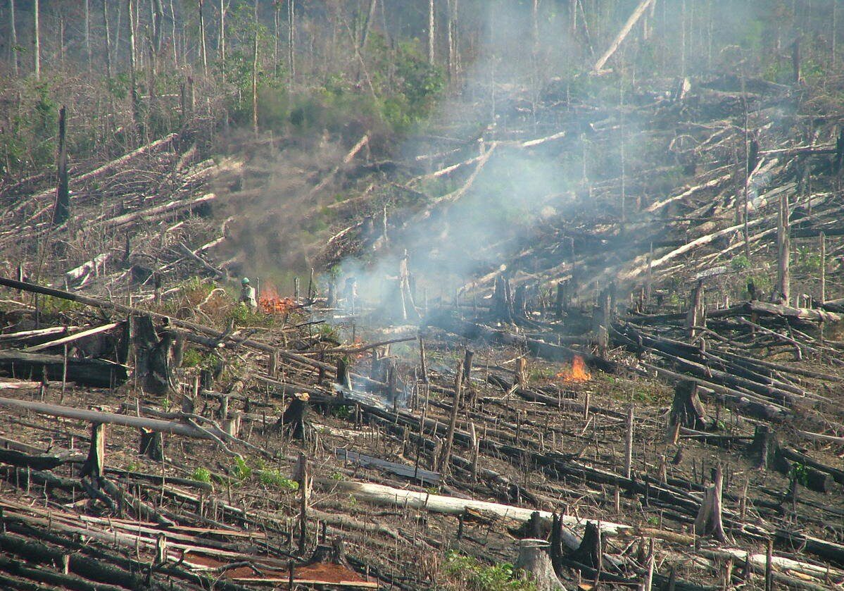 Kebakaran hutan & Lahan gambut
