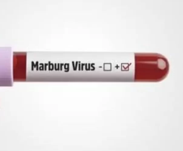 Kasus Virus Marburg Datang Lagi, Dirjen WHO Waswas