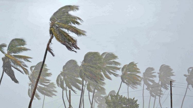 Pemkot Kota Kendari Menginformasikan Usai Badai