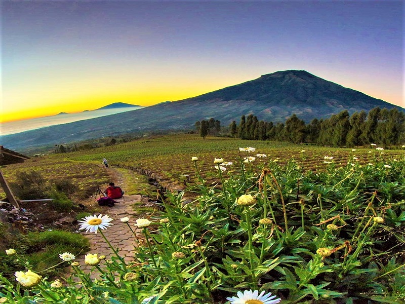 Destinasi Wisata Alam Posong