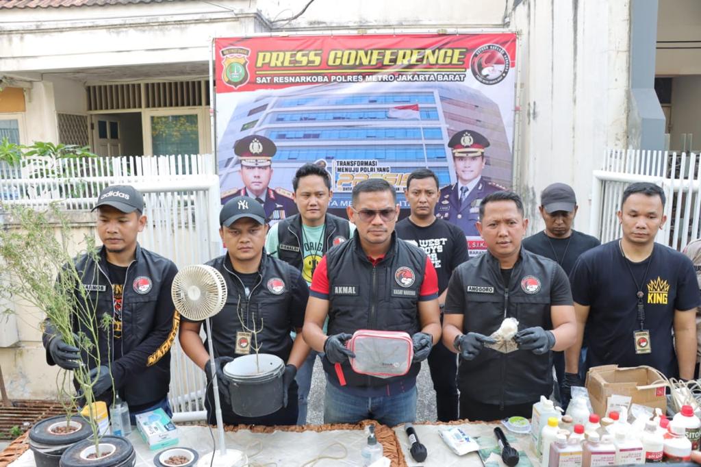 pelaku ganja