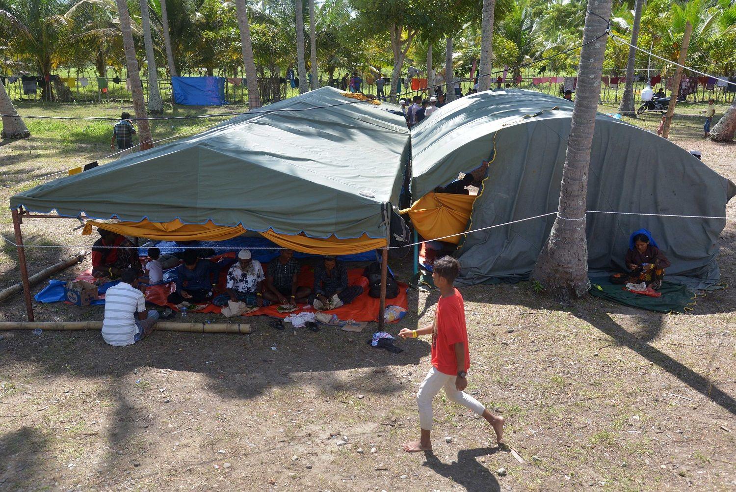 Laporan UNHCR Jumlah Pengungsi