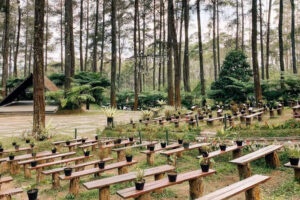 Orchid Forest Cikole