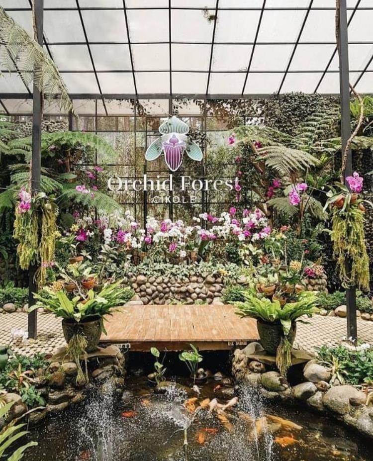 Orchid Forest Cikole
