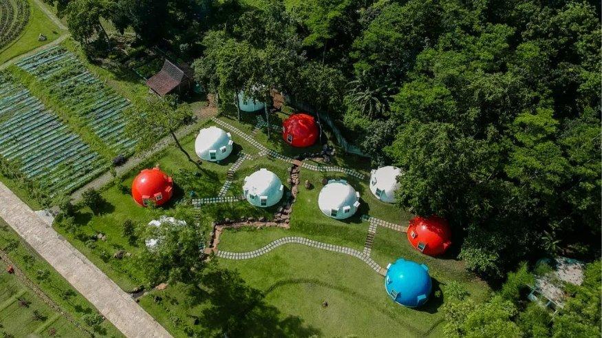 wisata korea selatan