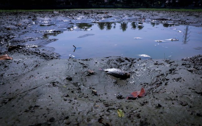 Indonesia juga disebutkan dalam bahaya oleh laporan PBB .