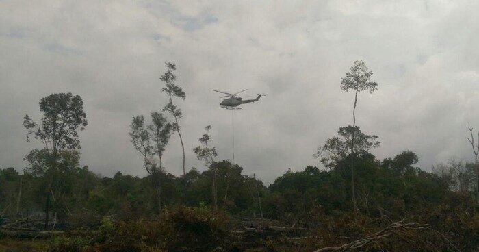 BMKG Prediksi Puncak Kemarau di Sumsel dari Juli hingga Agustus , waspadai Karhutla .