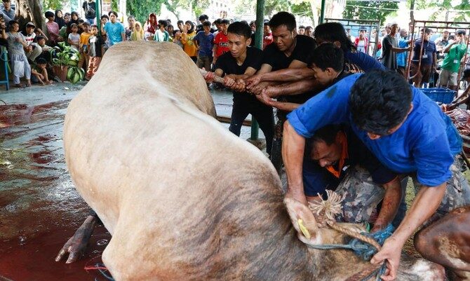 Pemerintah Resmi Tetapkan 17 Juni 2024 Idul Adha , Niat Puasa Tarwiyah Bagaimana ?