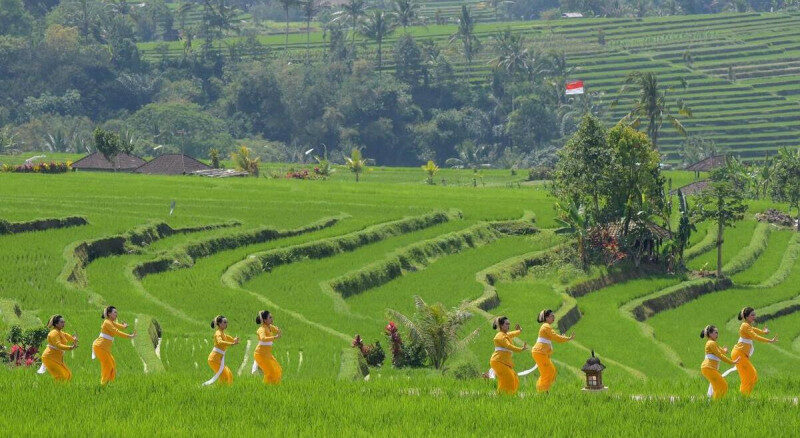 Wisatawan yang Ingin Singgah di Jatiluwih Tabanan Bali,  Ikuti Tips Berikut Ini. 