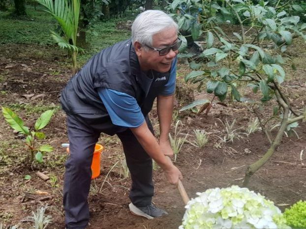 Bulog Tanam Bibit Pohon Alpukat di Jawa Timur