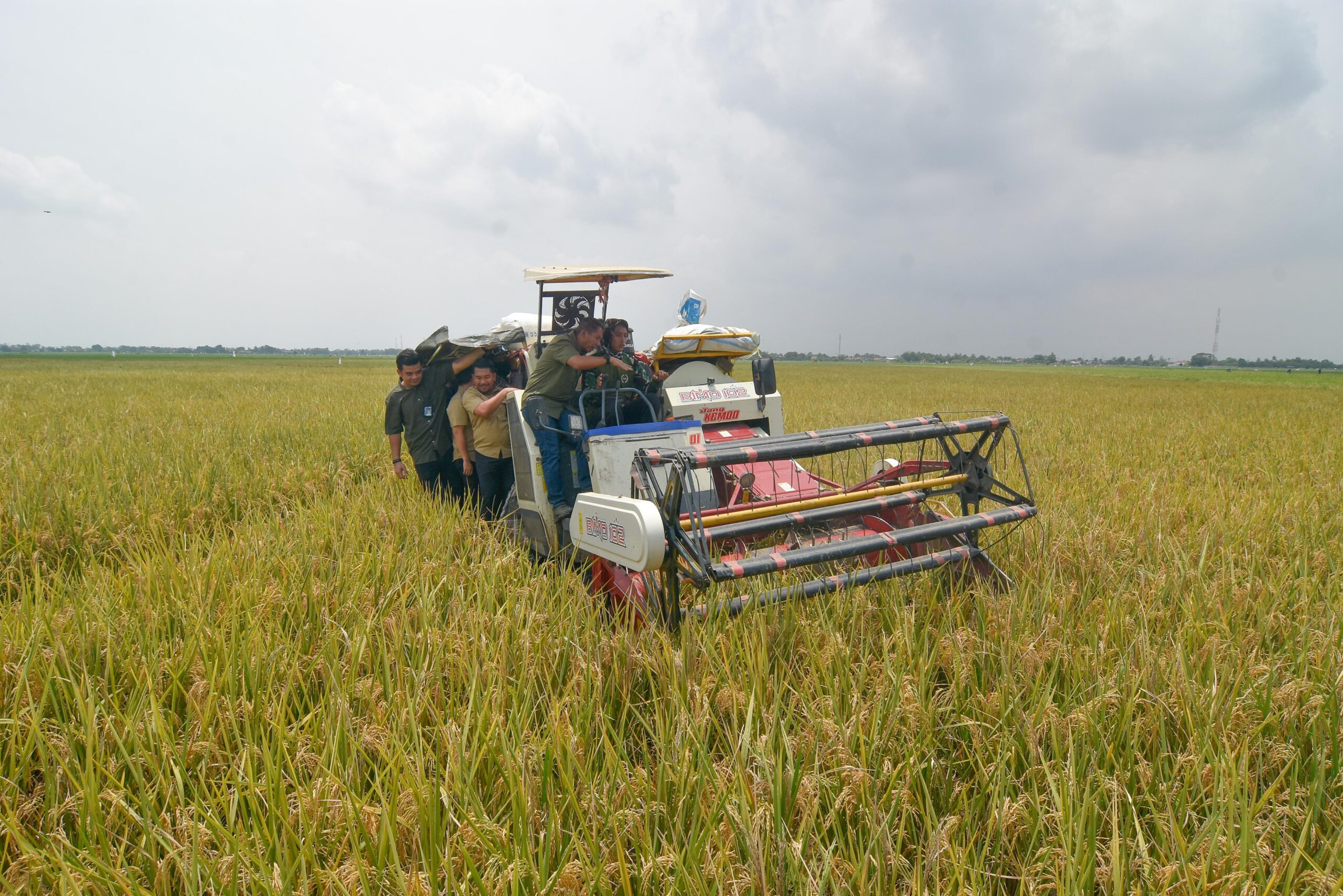 140 Ribu ton terserap, Progres Serapan Gabah/Beras BULOG Menjelang Bulan Ramadhan.