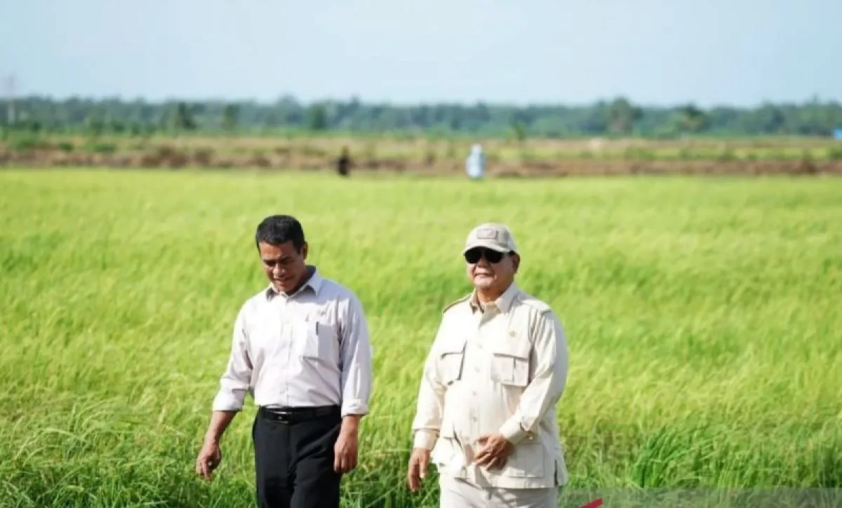 Beras Cadangan Nasional 4 juta ton , Prabowo Catat Sejarah