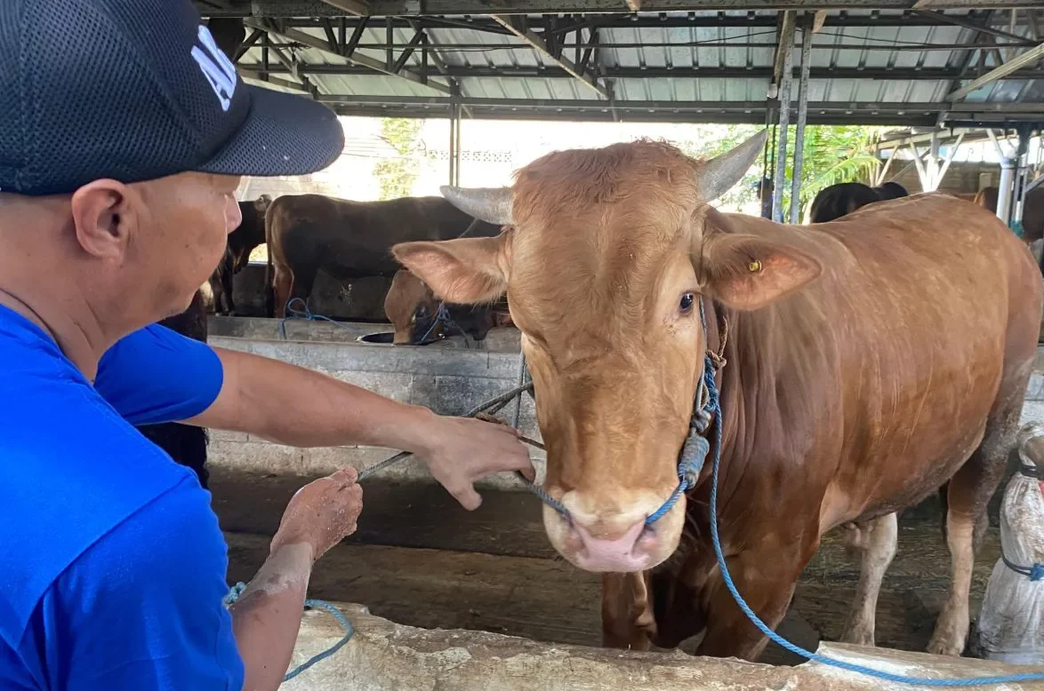 Pedagang Kurban : Daya Beli Masyarakat Menurun
