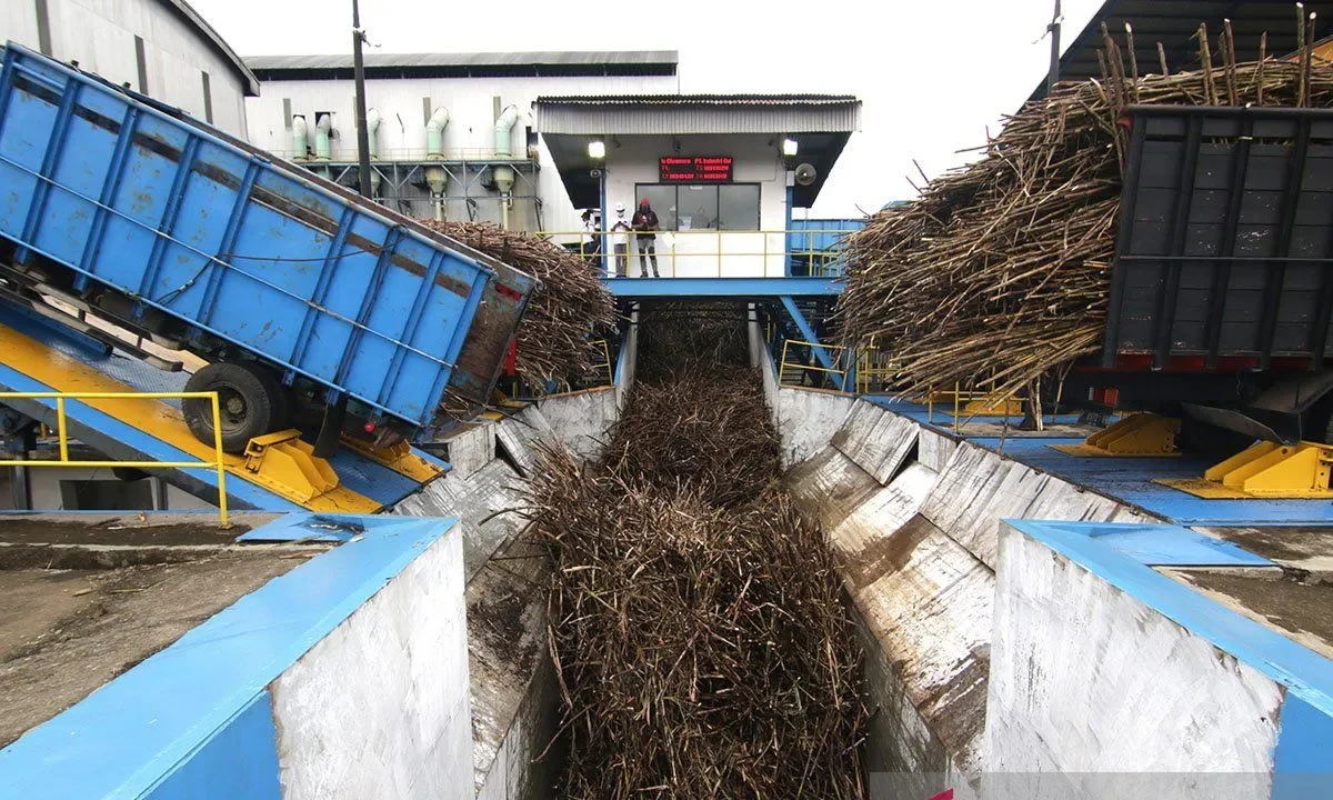 Danantara Alokasikan Rp1,5 triliun beli gula dari petani