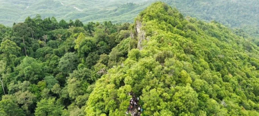 pengembangan ekowisata berbasis komunitas.