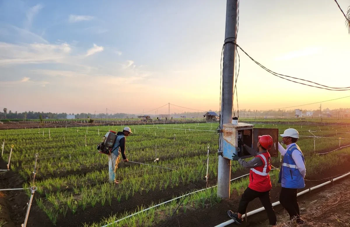 ESDM Ajak Pemda percepat program listrik desa