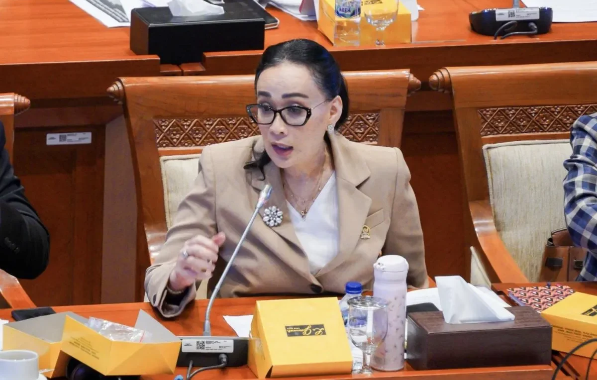 Anggota DPR : Kita tidak boleh berdiam diri, WNI diculik Israel. Saat menanggapi laporan bahwa aktivis dan jurnalis warga negara Indonesia (WNI)