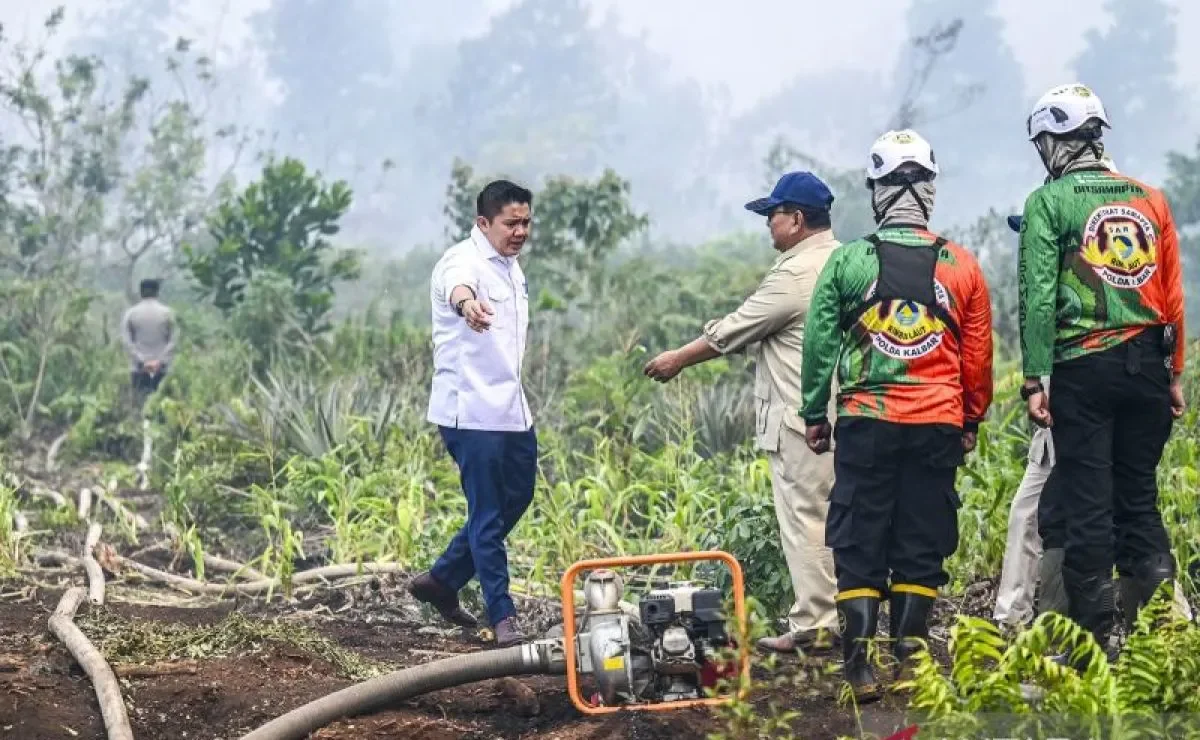 Prabowo : Karhutla harus di hukum